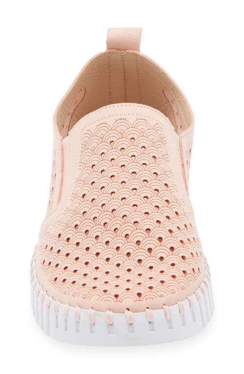 Ilse Jacobsen Tulip Slip-on Sneaker In Adobe Rose