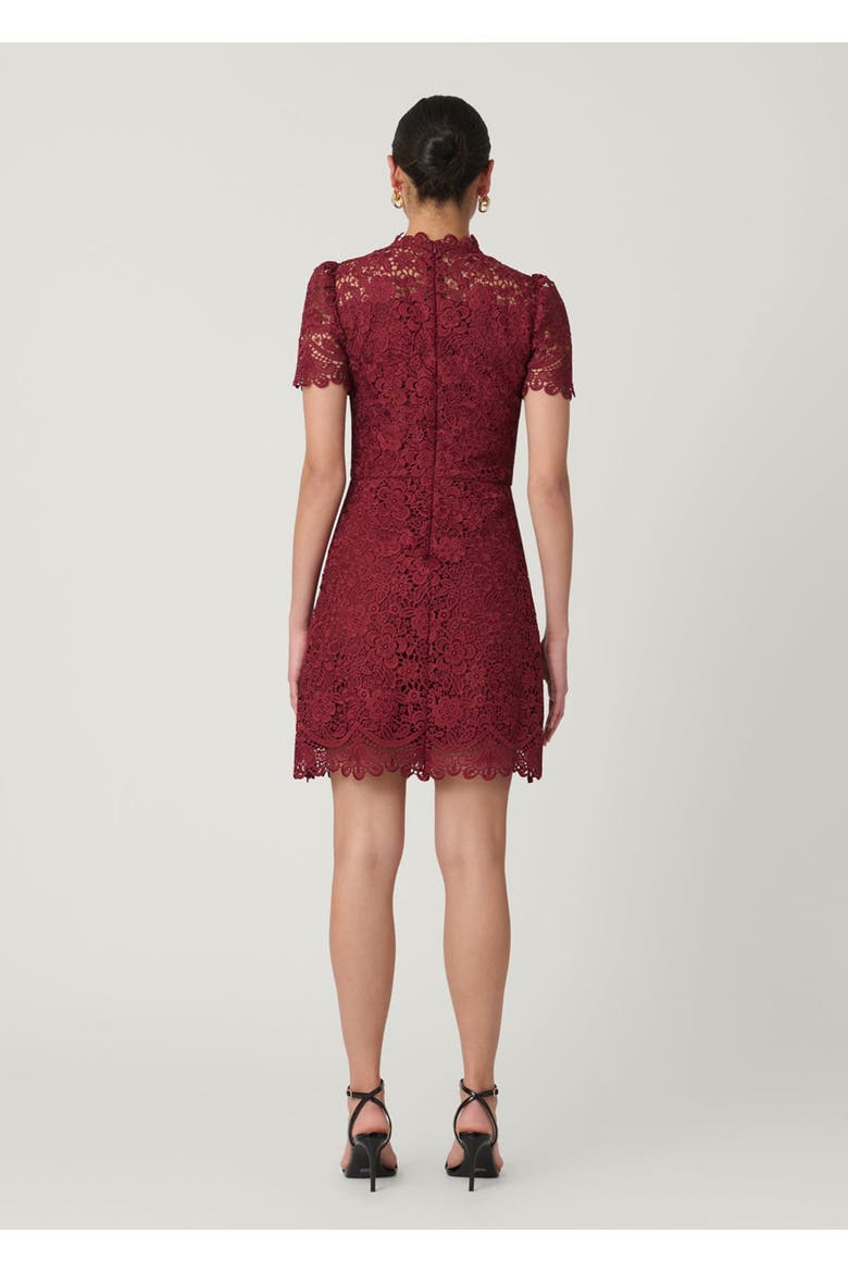 Ella Cortland Lace Dress, Alternate, color, Burgundy