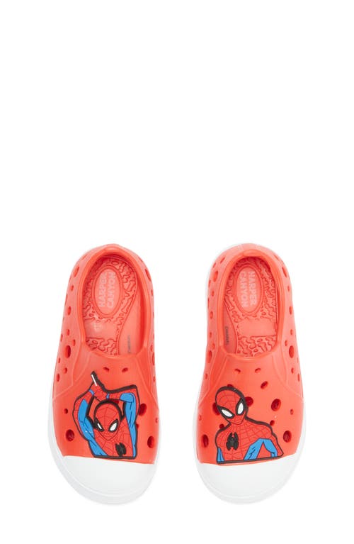 Harper Canyon Kids' Spider-man Water Shoe In Red