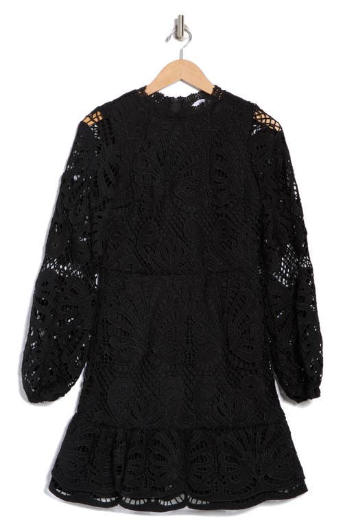 Nsr Lace Long Sleeve Dress