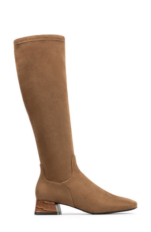 Donald Pliner Regina Knee High Boot In Brown
