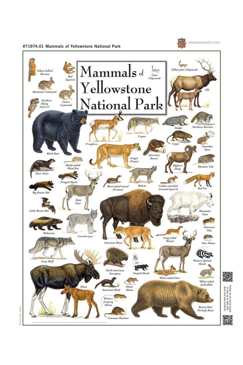 Mammals of Yellowstone 1000 Piece Puzzle, Alternate, color, Multicolor