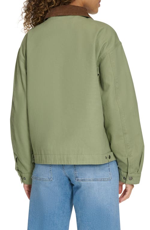 Levi's Women's Utility Collar Jacket In Hedge Green