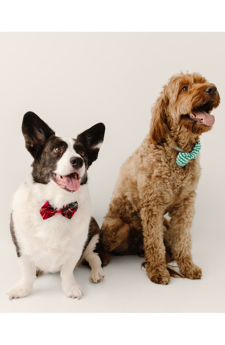 Petite Plume Imperial Tartan Dog Bow Tie, Alternate, color, Red