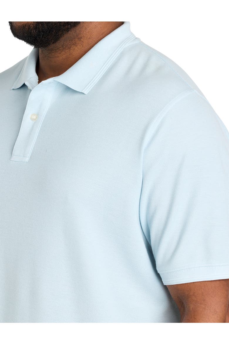 Big & Tall Garment-Dyed Polo Shirt, Alternate, color, FORGET ME KNOT