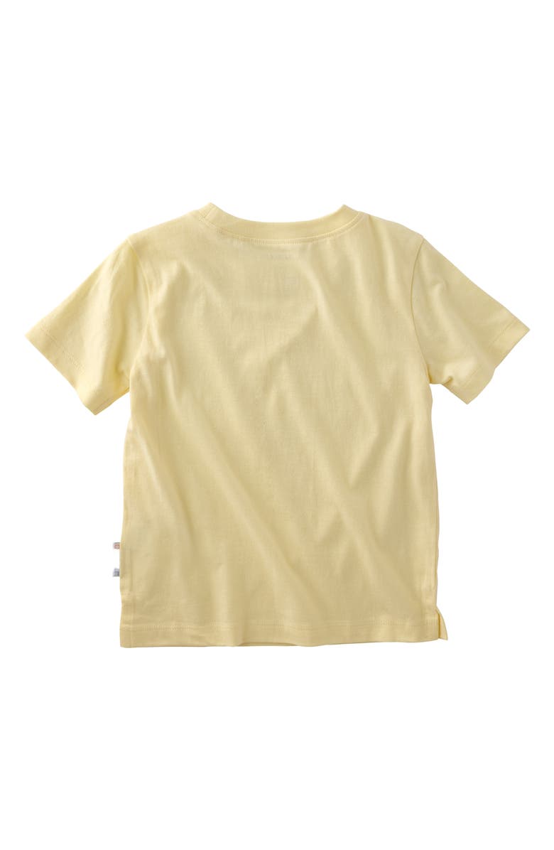 BUTTERBLU Taylor Assorted 5-Pack Organic Cotton T-Shirts, Alternate, color, Haze