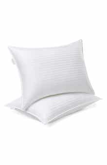 Modern Threads 2-Pack Down Alternative Pillows