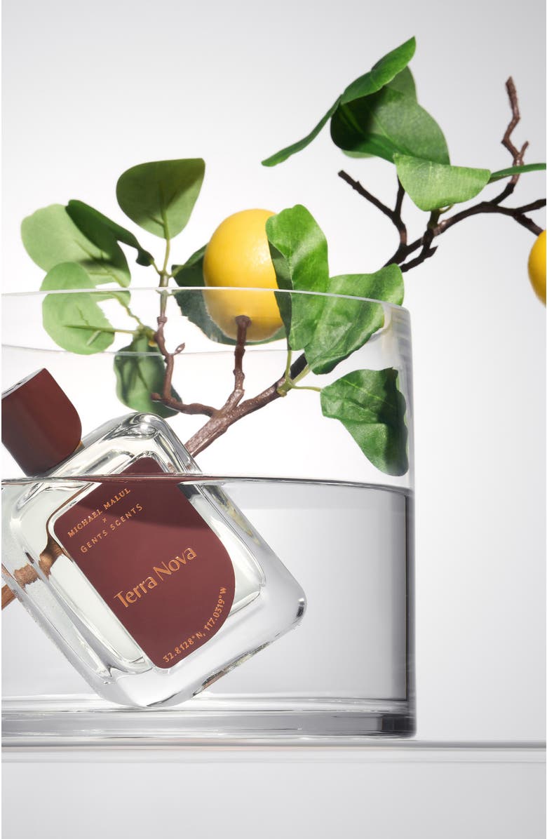 Michael Malul Terra Nova, Alternate, color, NO COLOR