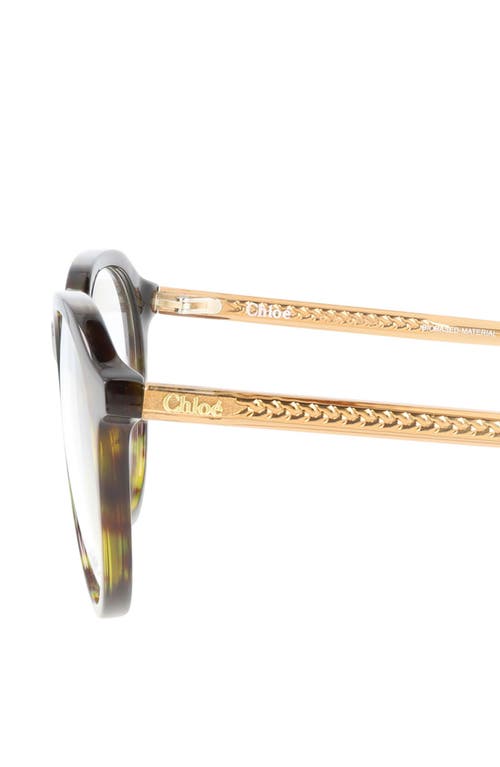 Chloé Round-frame Bio Acetate Optical Frames In Havana Brown Transparent