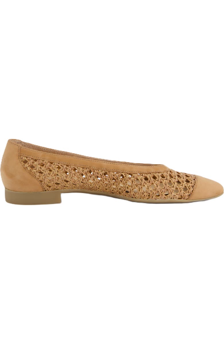 Paul Green Daisy Pointed Toe Flat, Alternate, color, Sisal Diva Combo