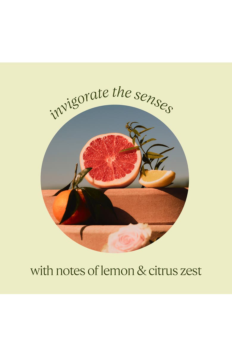 L'Occitane Shea Verbena Extra-Gentle Soap, Alternate, color, Green