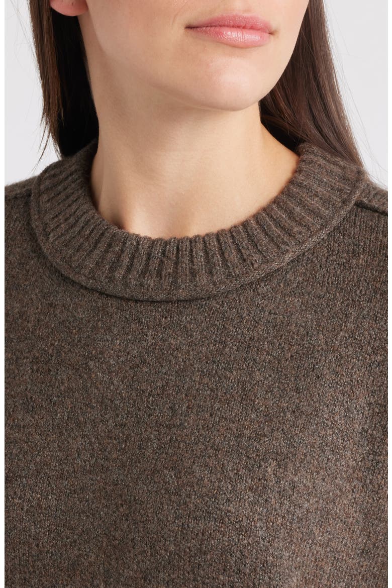 Broome Crop Short Sleeve Sweater, Alternate, color, EARTH