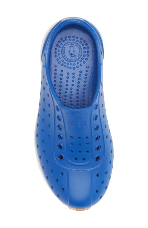 Native Shoes Robbie Sugarlite Slip-on Shoe In Victoria Blue/shell White