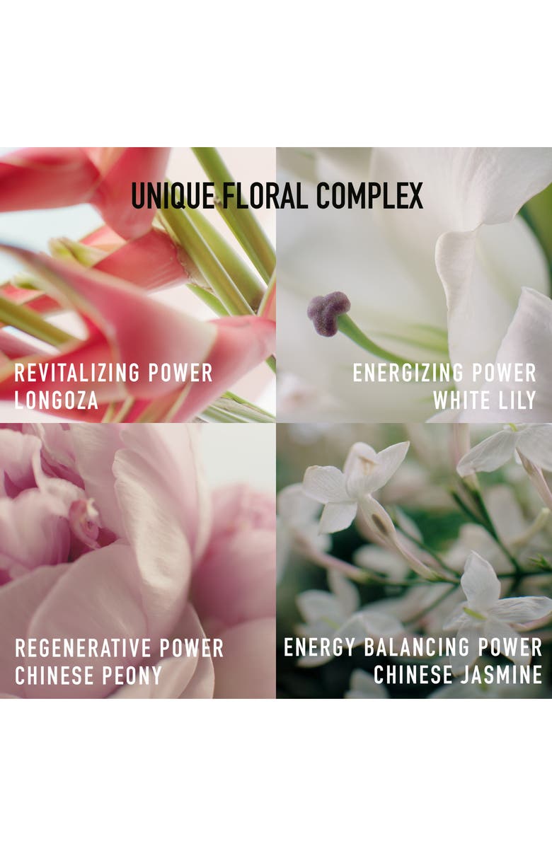 DIOR Capture Totale Discovery Set, Alternate, color,