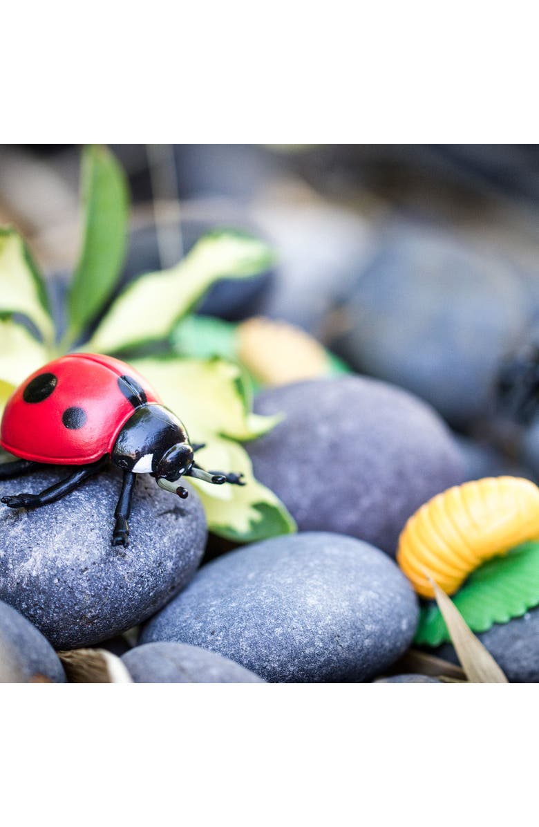 Safari Ltd. Life Cycle Of A Ladybug, Alternate, color, NO COLOR