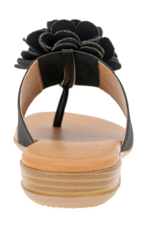 Andre Assous André Assous Nate Flower Sandal In Black