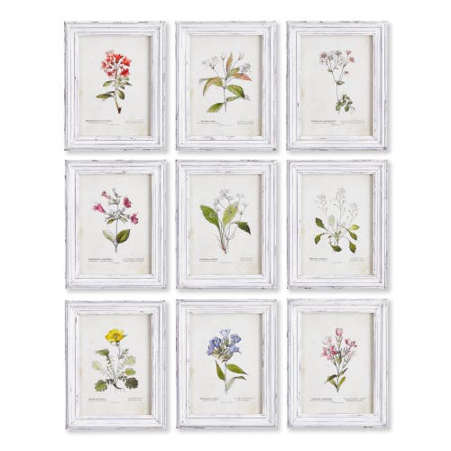 Napa Home & Garden Garden Meadow Study Set Of 9 In Multi