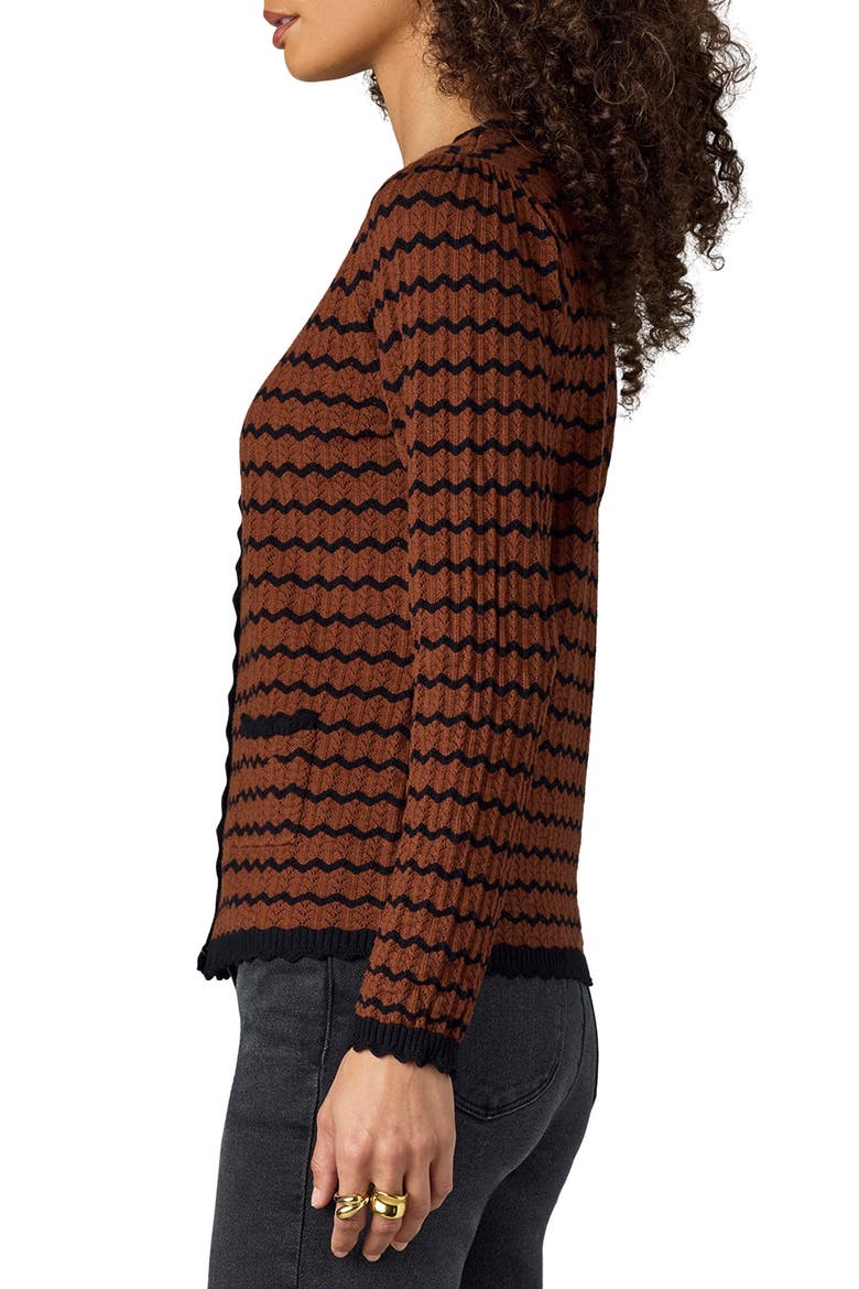Stripe Round Neck Cardigan, Alternate, color, UMBER/ BLACK