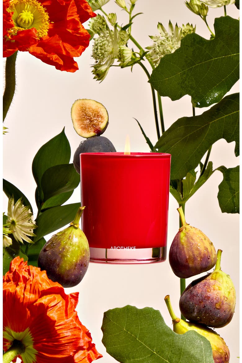 Fig & Olive Leaf Petite Scented Candle, Alternate, color, NO COLOR