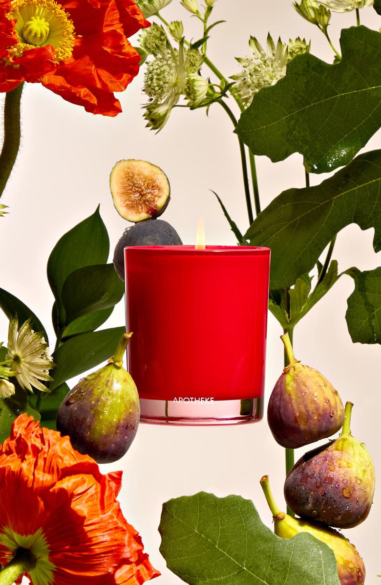 APOTHEKE Fig & Olive Leaf Petite Scented Candle, Alternate, color, 