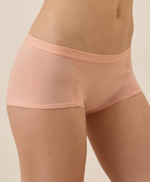 Pact Organic Cotton Everyday Boy Short 6-pack