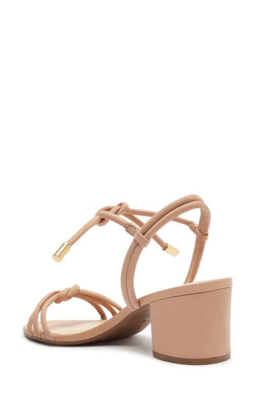 Arezzo Camila Ankle Strap Sandal In True Sand
