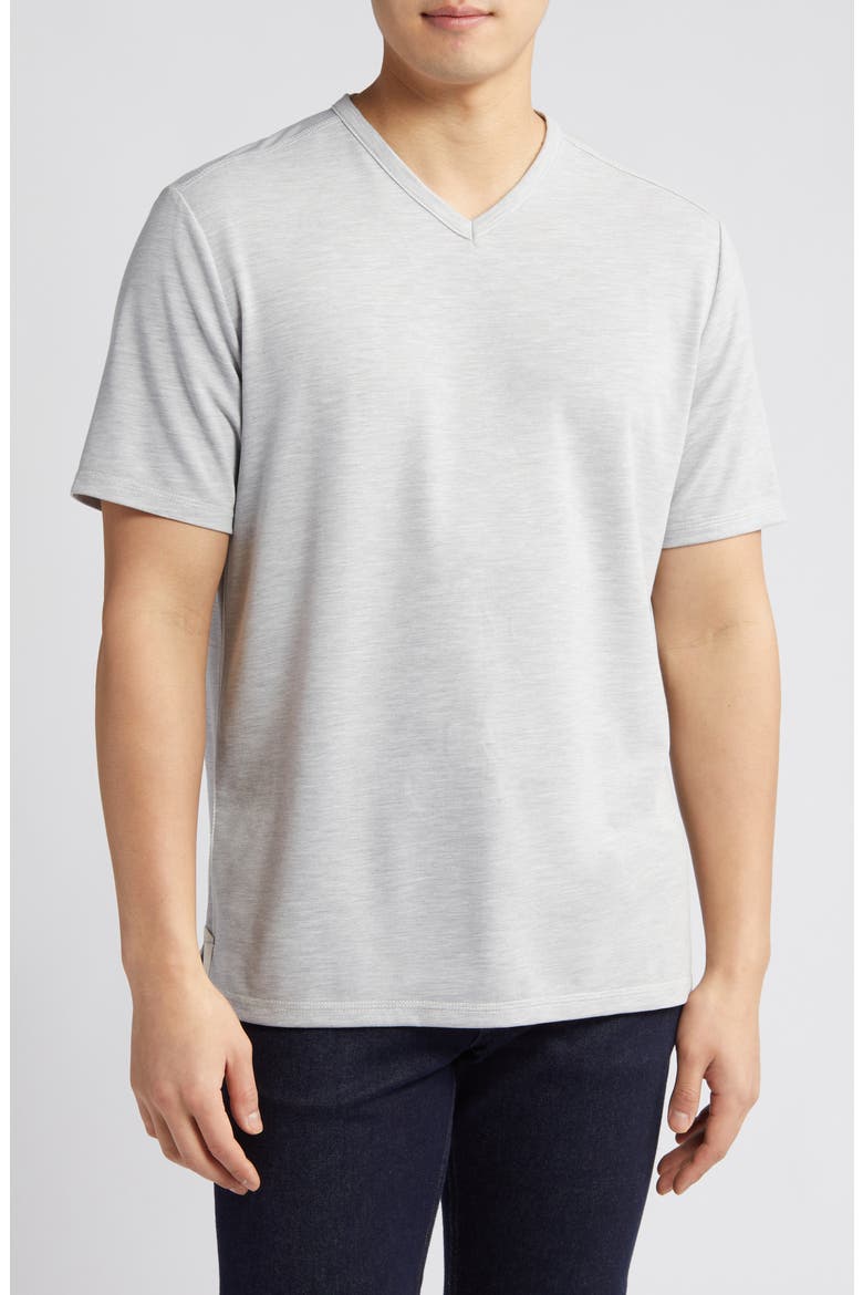 New Costa V-Neck T-Shirt, Main, color, ASH GREY