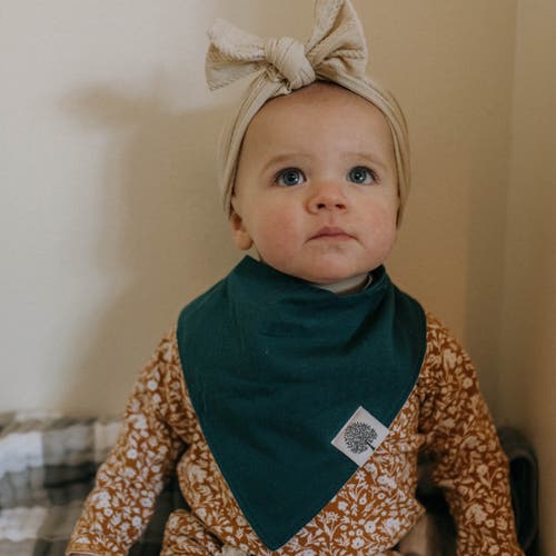 Parker Baby Co. Bandana Bib Set