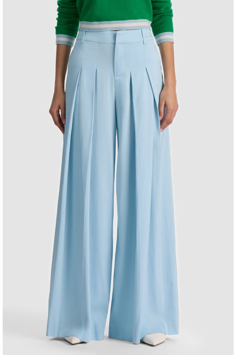 Blaire Pleated Wide Leg Pants, Main, color, CAROLINA BLUE