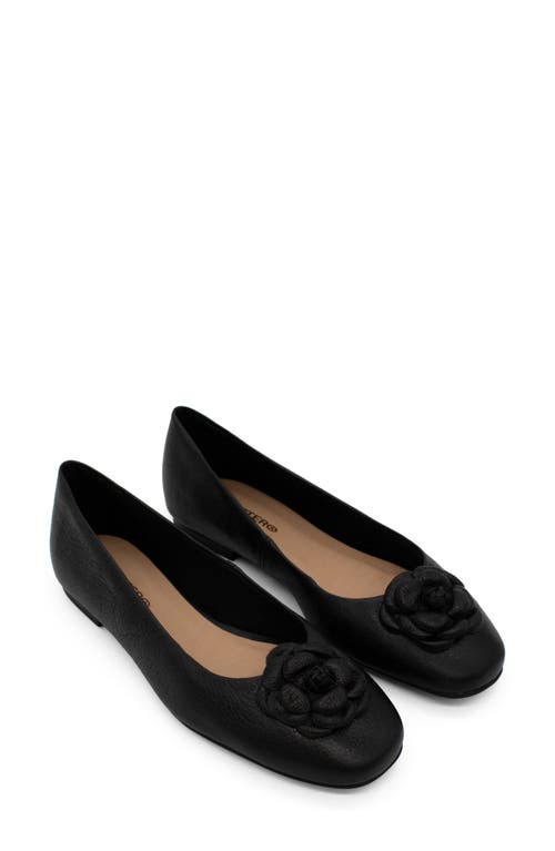 Bottero Botsamya Ballet Flat