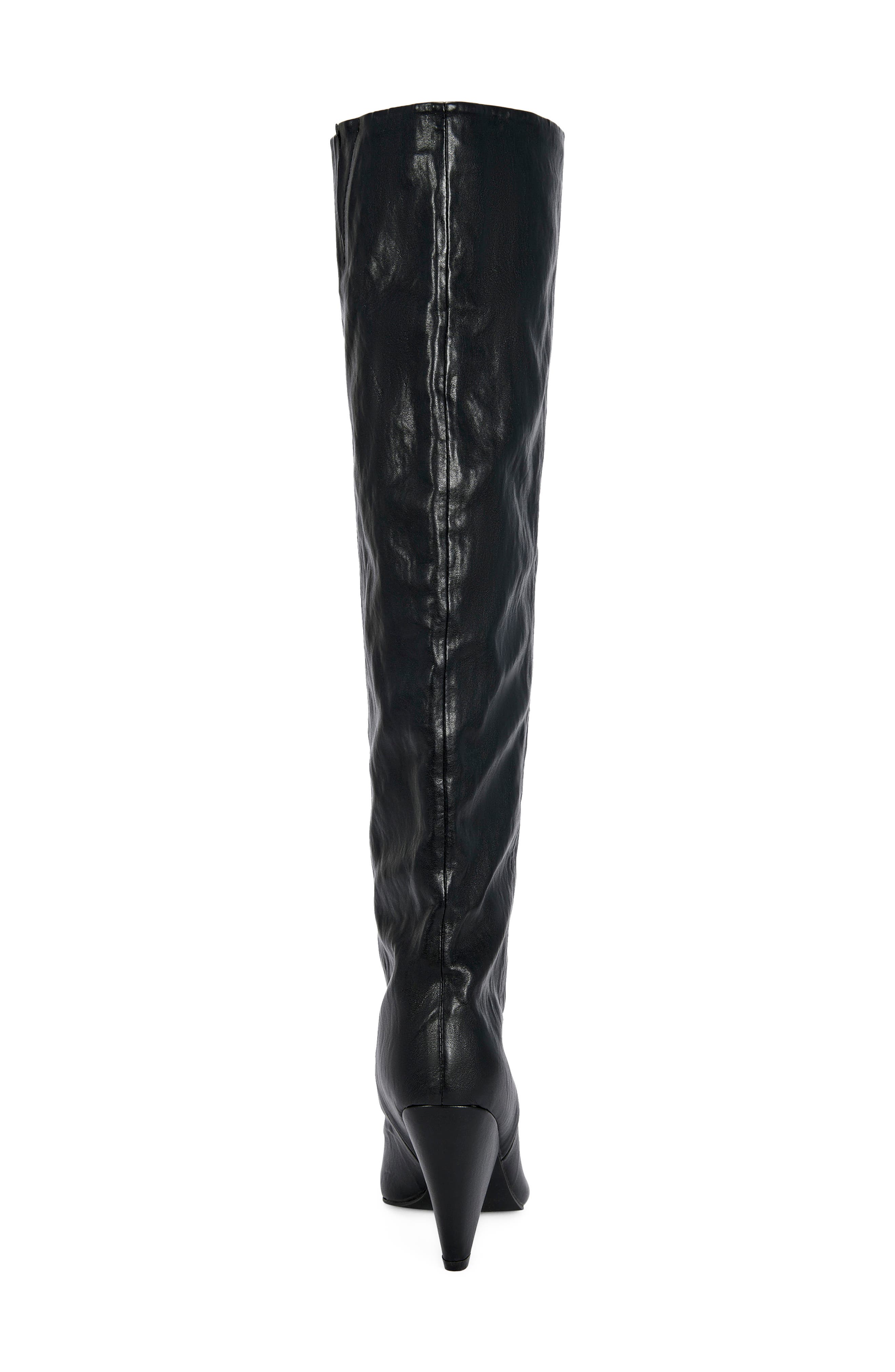 Rembrandt Pointed Toe Knee High Boot, Alternate, color, BLACK