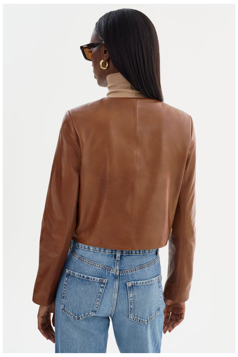 LINETTE | Leather Jacket, Alternate, color, Luggage