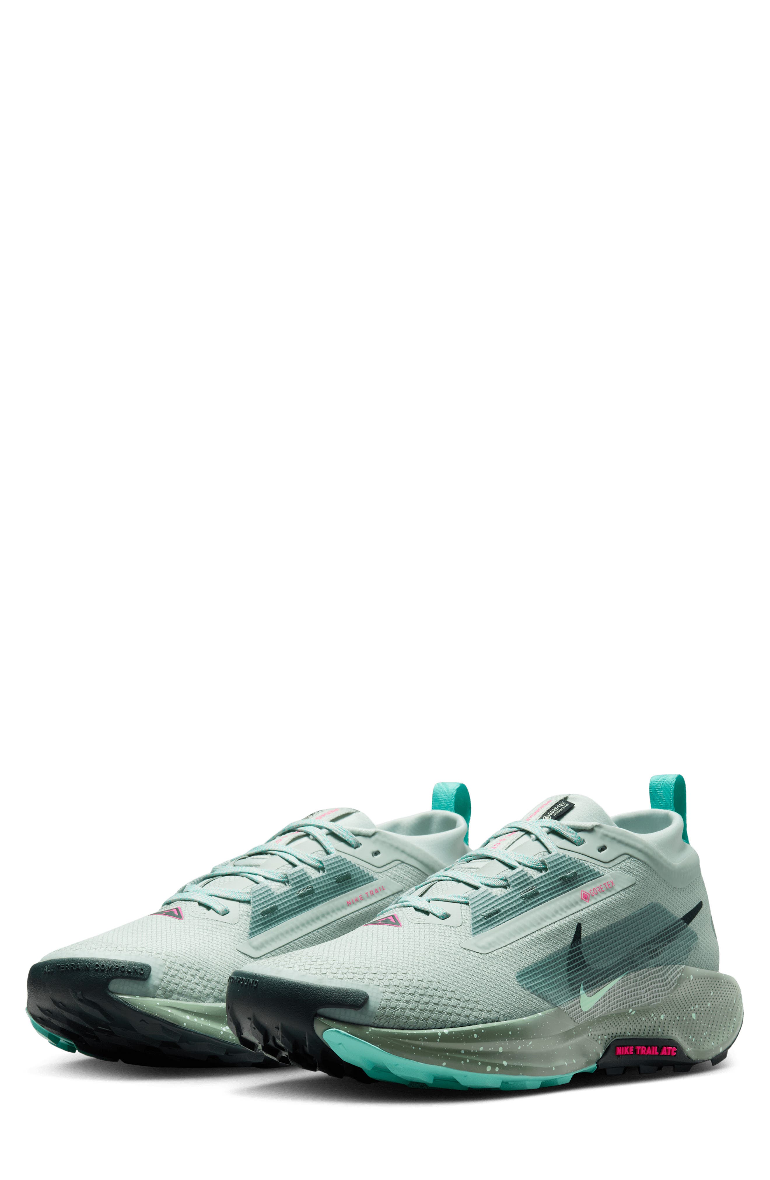 Nike Pegasus Trail 5 Gore-Tex® Waterproof Running Shoe (Men