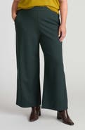 Universal Standard Stephanie Wide Leg Ponte Pants