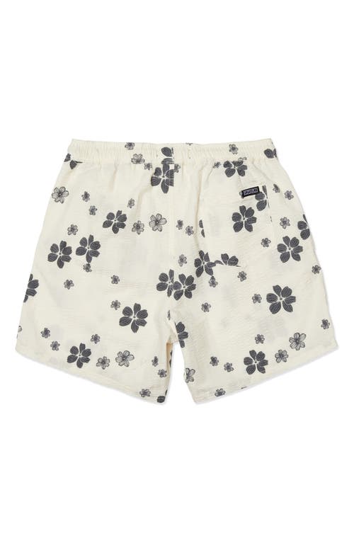 Ezekiel Sydney Drawstring Shorts In White