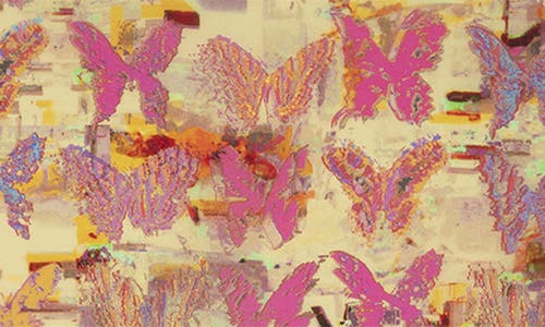 Zadig & Voltaire Blondie 85 Butterfly Neon Silk Square Scarf In Shea