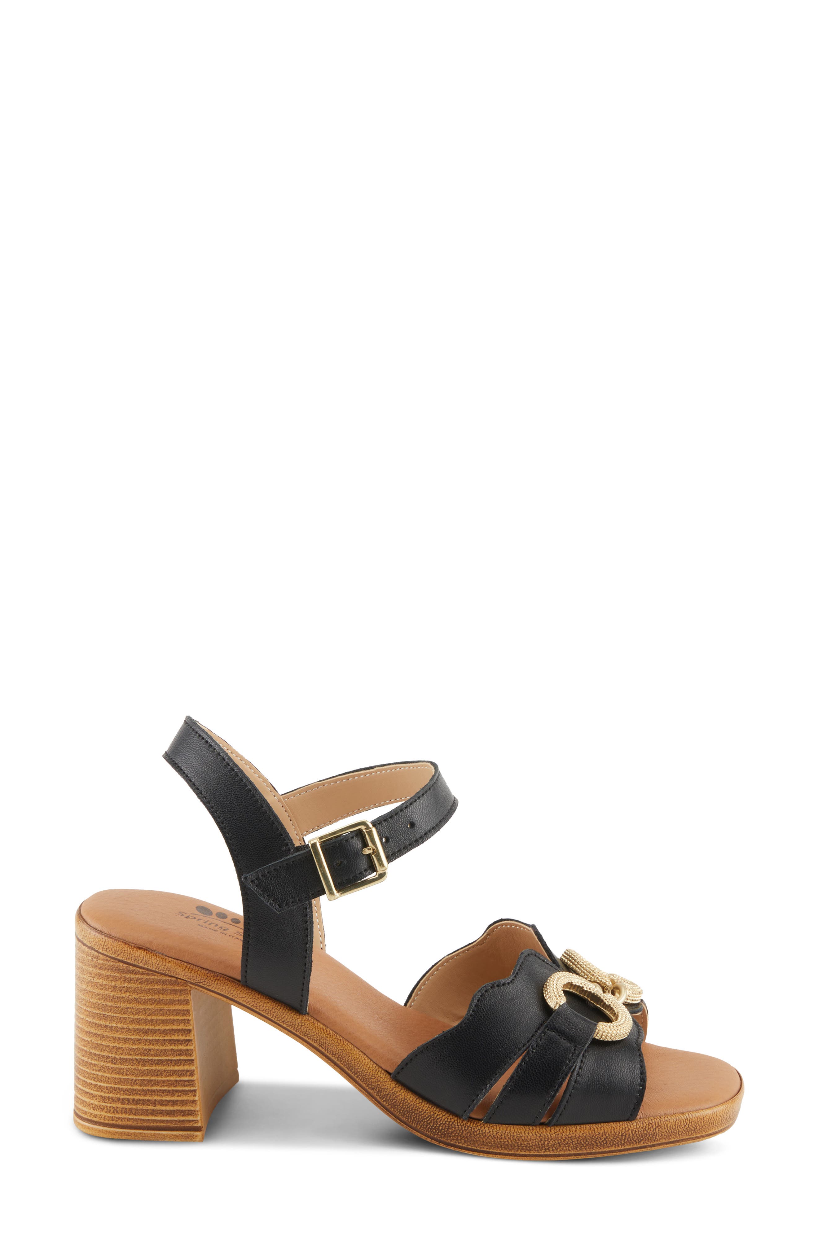 Sardinia Ankle Strap Sandal, Alternate, color, BLACK
