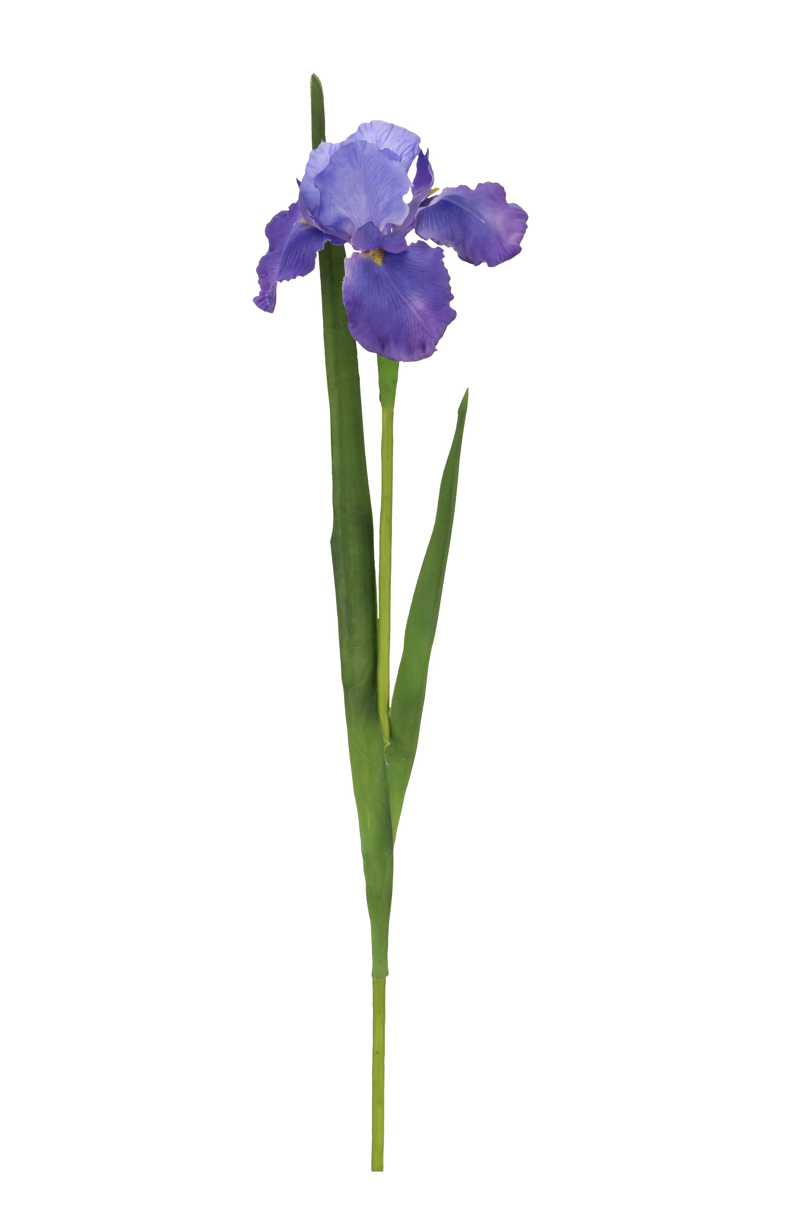 selected Blue