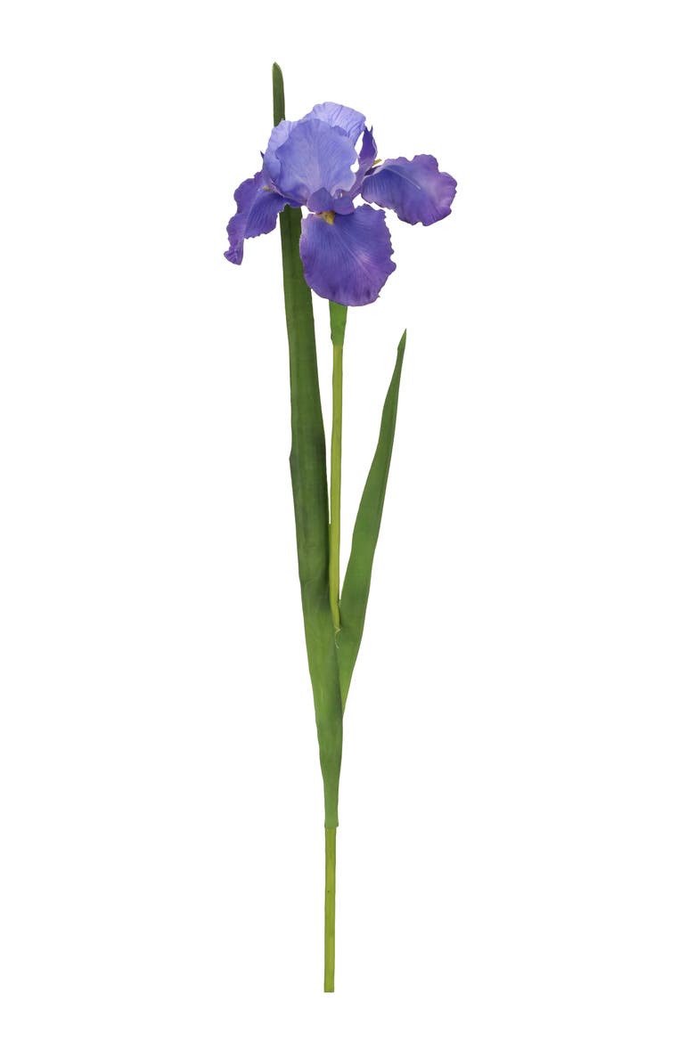 Iris, Box of 12, Main, color, Blue
