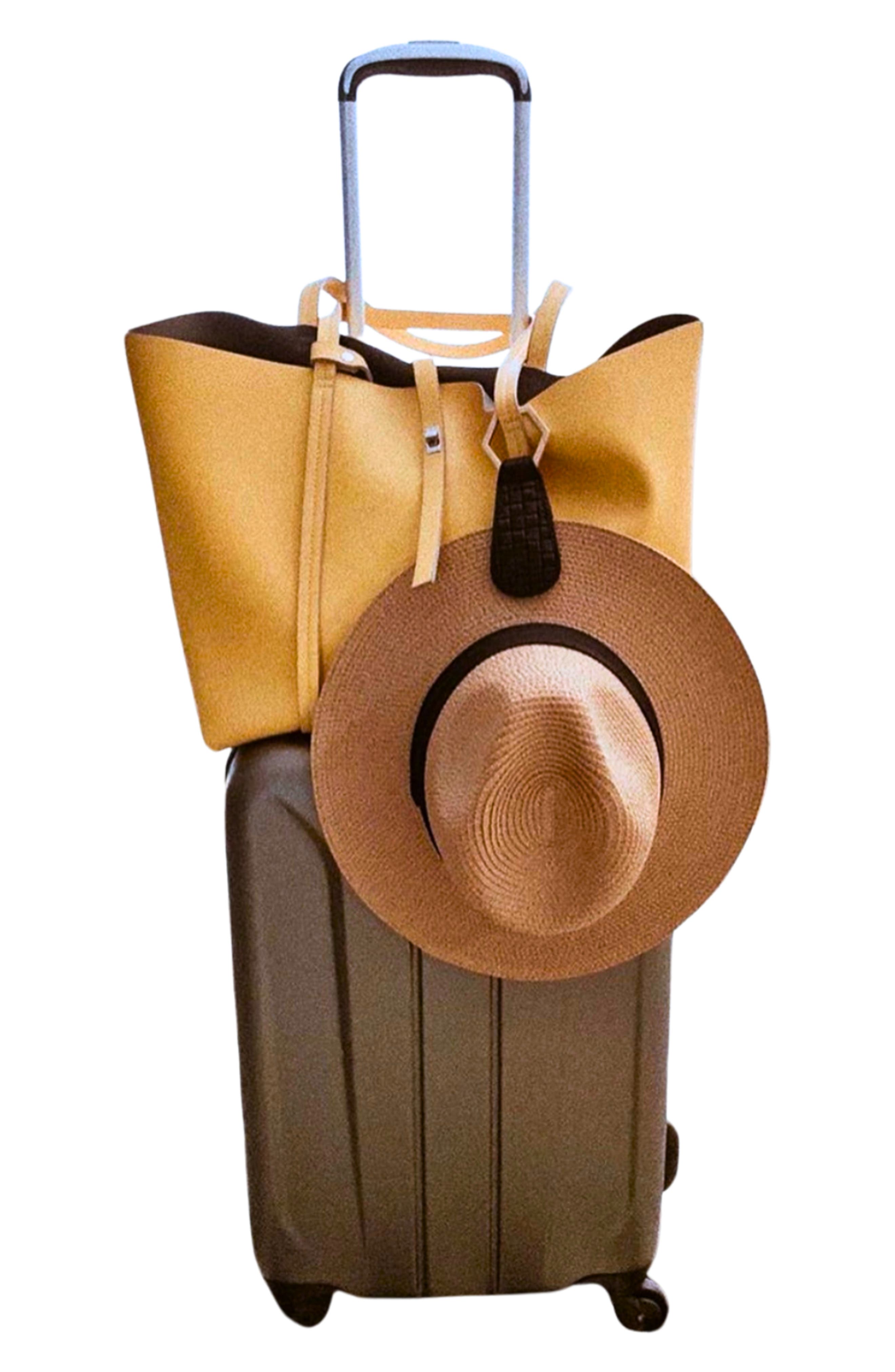 Lindsay Albanese TOPTOTE Leather Hat Holder, Alternate, color, Black/ Brushed Gold