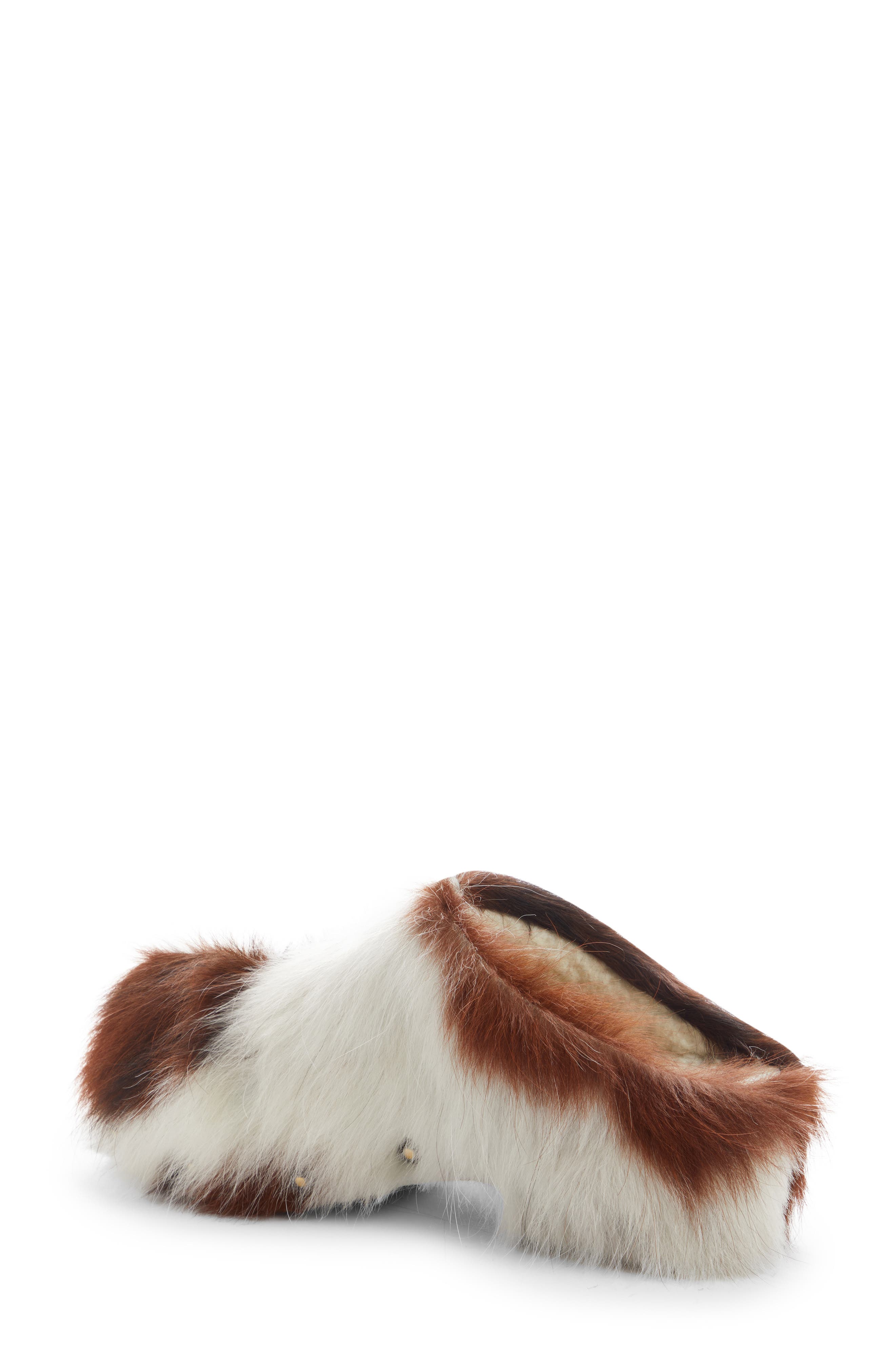 Acne Studios Bloggie Genuine Calf Hair Clog, Alternate, color, 