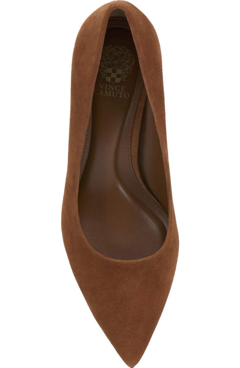 Vince Camuto Kehlia Pointed Toe Pump, Alternate, color, Burnt Sugar Torsue