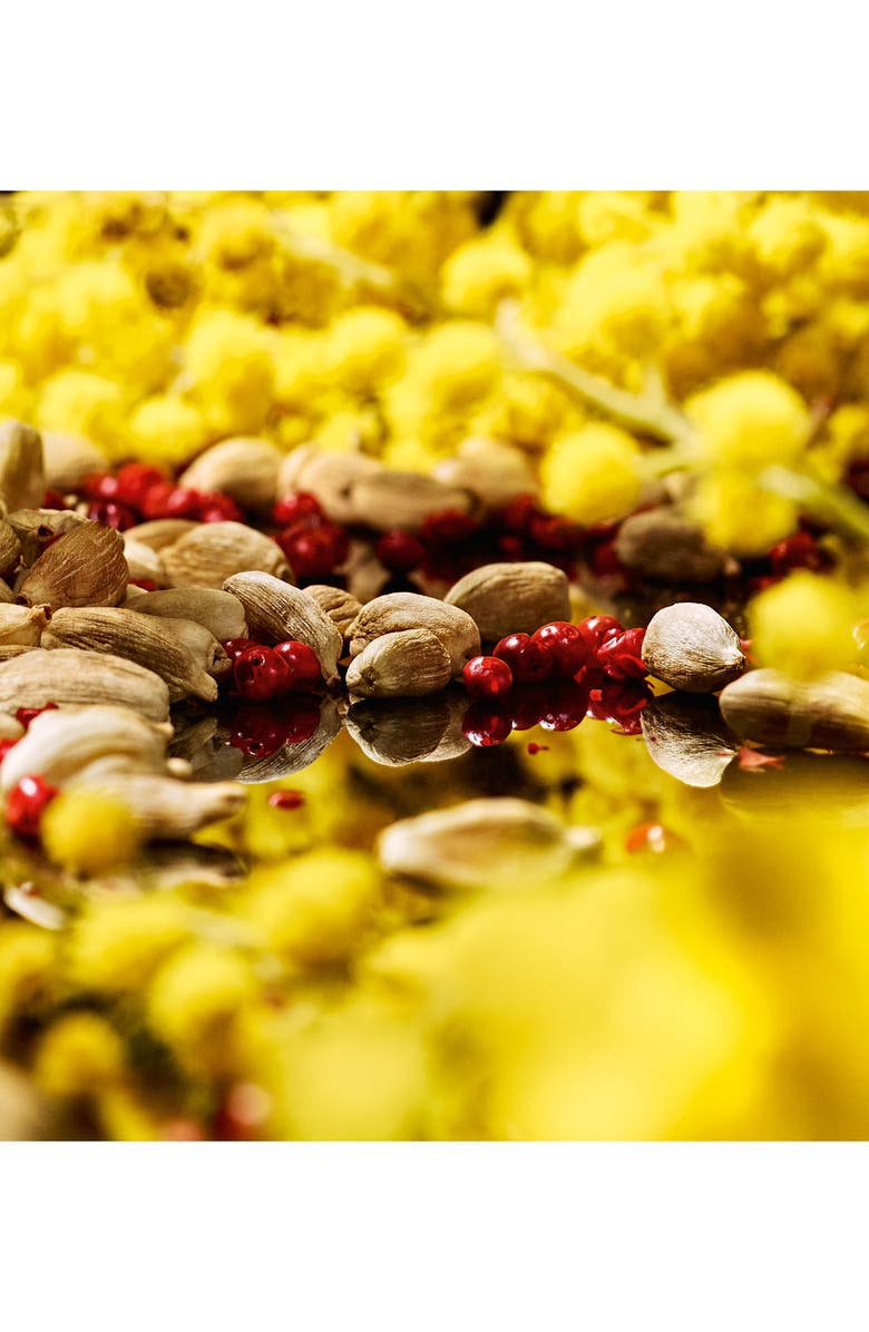 Jo Malone London<sup>™</sup> Mimosa & Cardamom Body Crème, Alternate, color, 