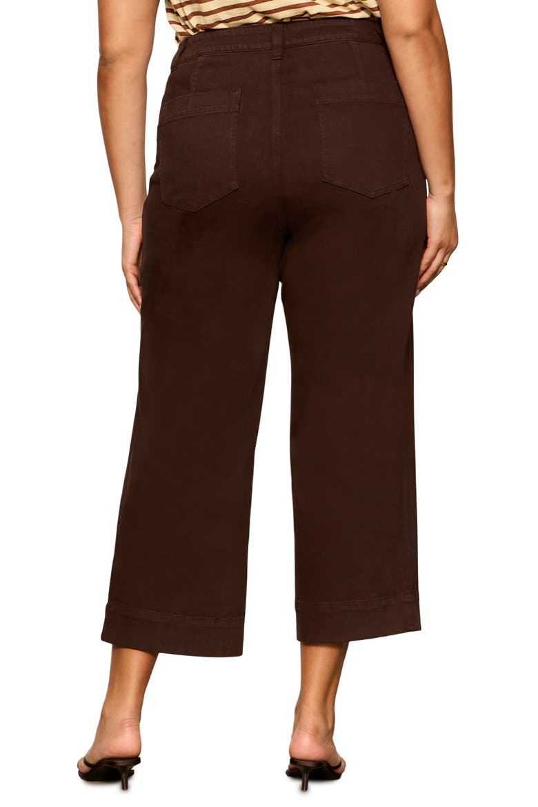 The Marine Crop Wide Leg Jeans, Alternate, color, RICH SOIL BROWN