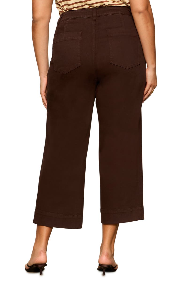 Sanctuary The Marine Crop Wide Leg Jeans, Alternate, color, Rich Soil Brown