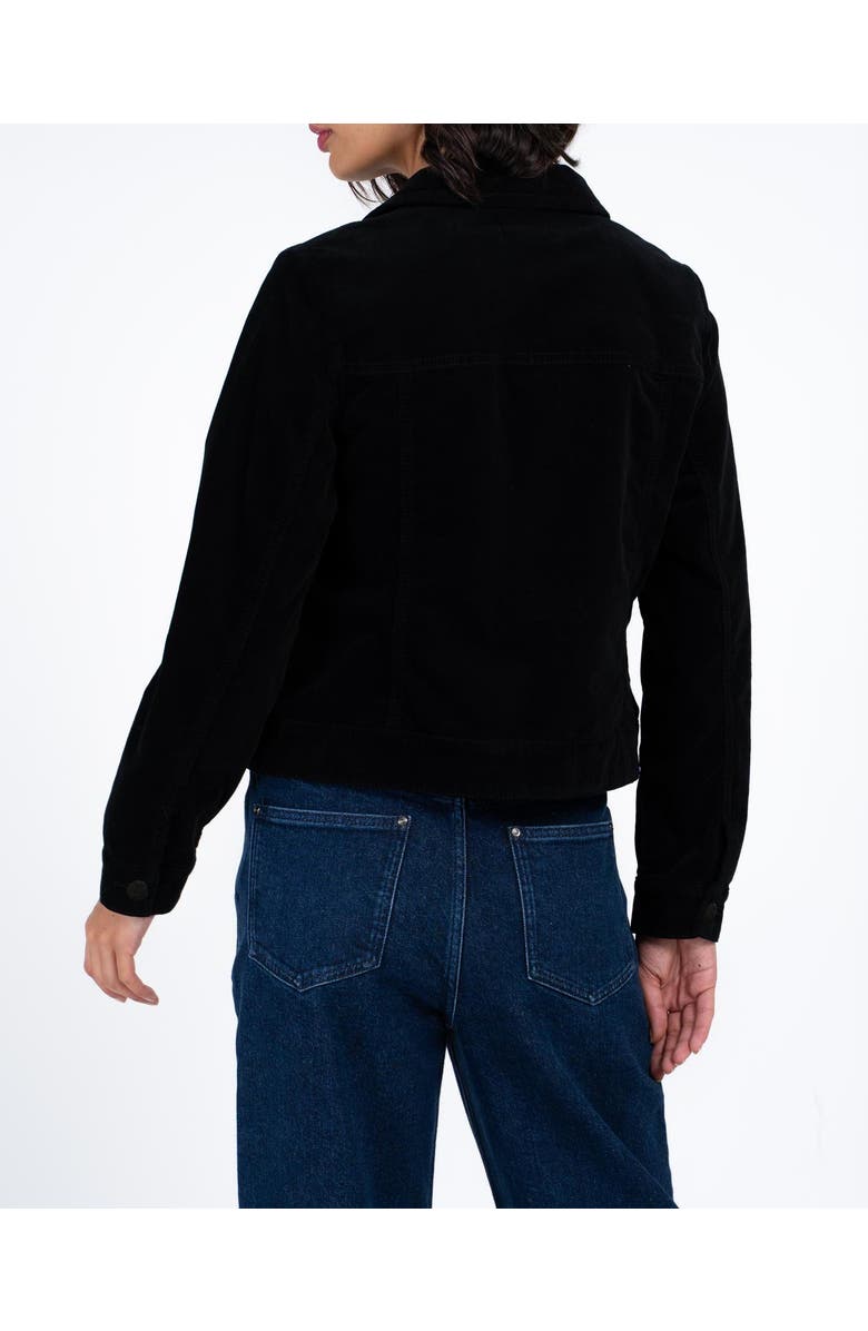 Kettlewell Vera Velvet Jacket, Alternate, color, Black