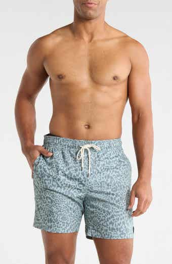 RVCA Men's Barnes Swim Trunks