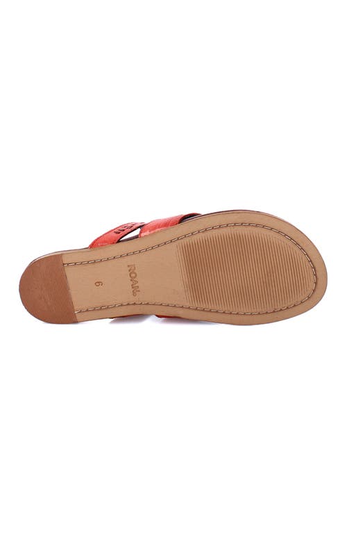 Roan Mixia Sandal In Animal Print