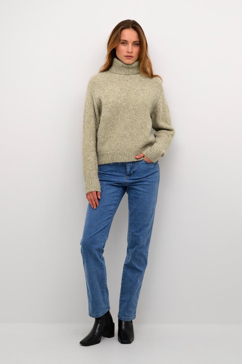 KAtrina Rollneck Long Sleeve Pullover, Alternate, color, Feather Gray Melange