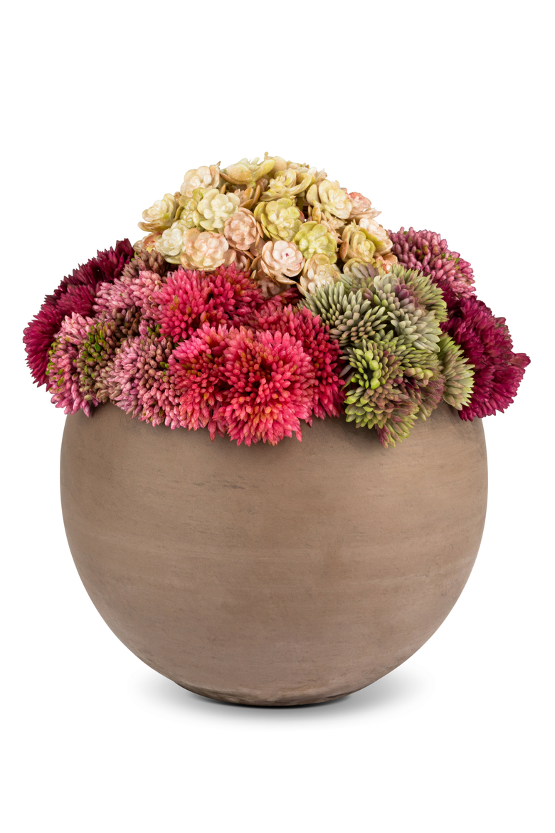 Elias Sedum Arrangement, Main, color, Fuchsia Mélange